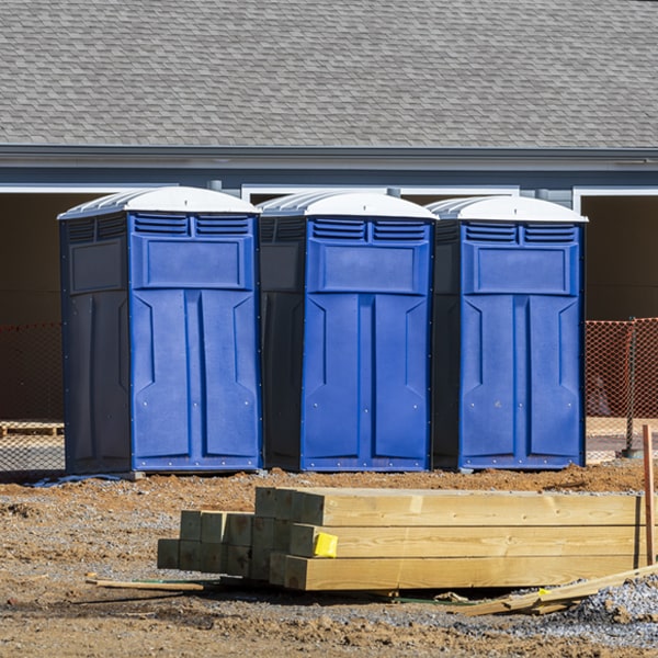 how often are the porta potties cleaned and serviced during a rental period in Bryceville